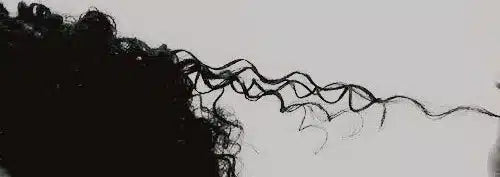 Top 5 Curly Hair Myths Debunked by O Curls