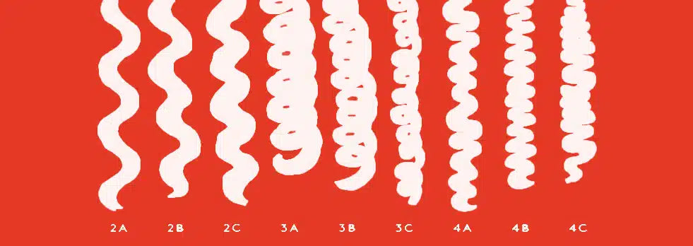 Curly Hair 101: The Ultimate Guide to Understanding Your Curl Type
