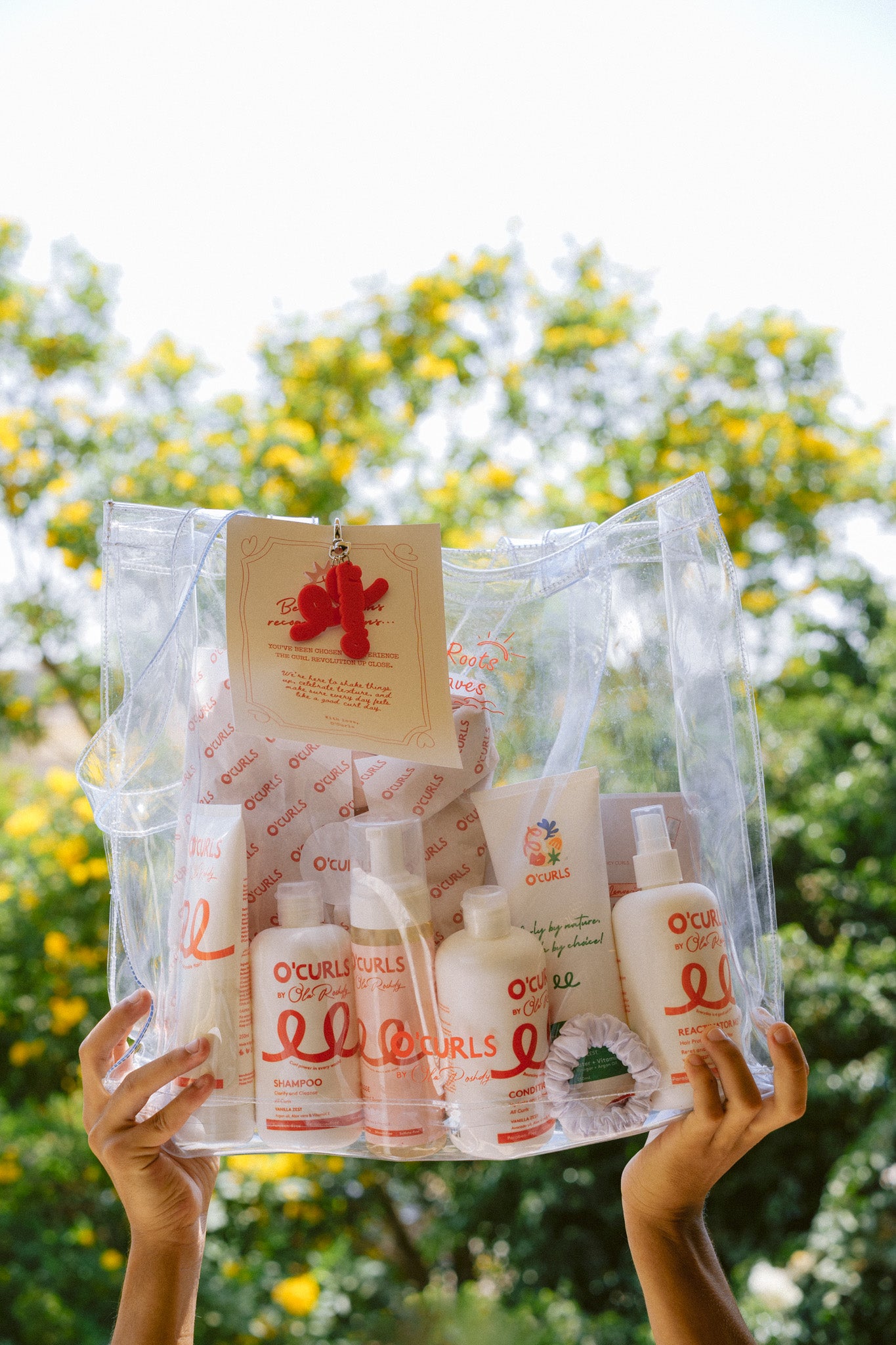 Complete curl-care routine bag